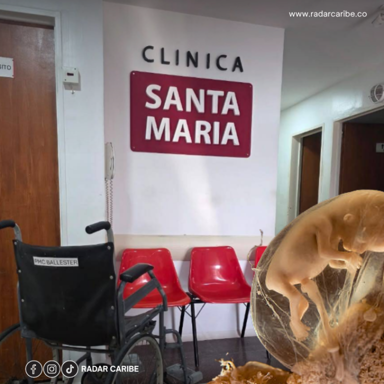 JUDICIAL || HALLAN OCHO FETOS EN CLÍNICA